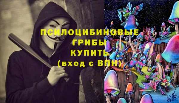 ПСИЛОЦИБИНОВЫЕ ГРИБЫ Гусиноозёрск